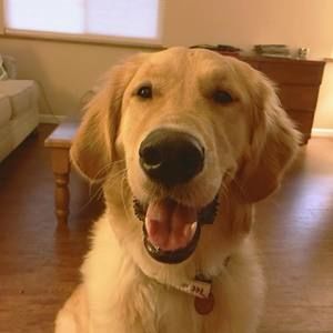 Meet your Posher, Fran